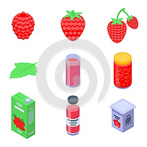 Raspberry icons set, isometric style