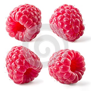 Raspberry isolated. Collection