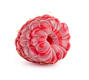 Raspberry isolated on white