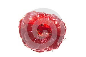 Raspberry isolated on white background