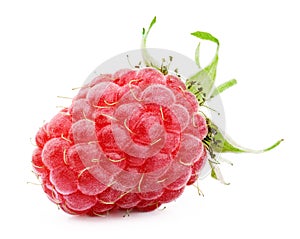 Raspberry isolated on white