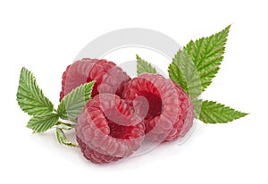 Raspberry with leaf on white