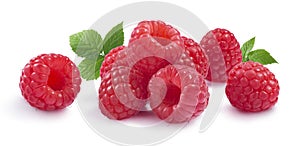 Raspberry with leaves horizontal composition solated on white ba