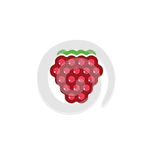 raspberry logo icon vector design symbol