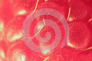 Raspberry Texture Background