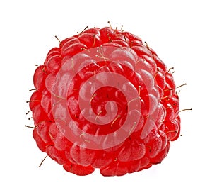 Raspberry macro on white background
