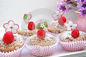 Raspberry muffins with cinamon crumble
