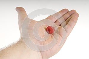 Raspberry on palm