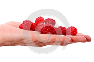 Raspberry on a palm