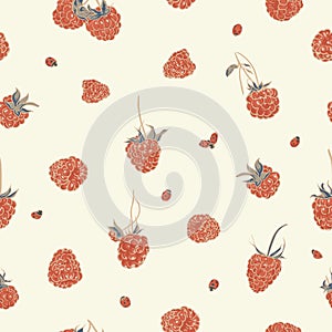 Raspberry pattern with ladybug.