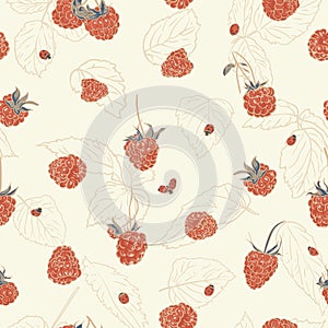 Raspberry pattern with ladybug.