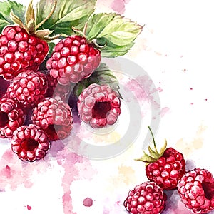 Raspberry pattern watercolor