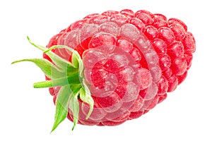 Raspberry r. idaeus fruit, paths