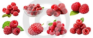 Raspberry raspberries, many angles and view side top front group pile heap isolated on transparent, PNG