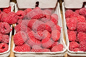Raspberry fruit in boxes photo