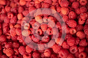 Raspberry - red fresh berryes background