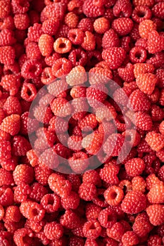 Raspberry - red fresh berryes background