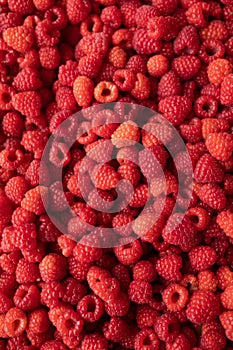 Raspberry - red fresh berryes background