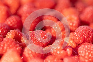 Raspberry - red fresh berryes background