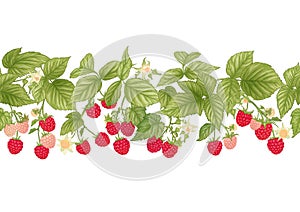 Raspberry. Ripe berries on branch. Seamless pattern, background.