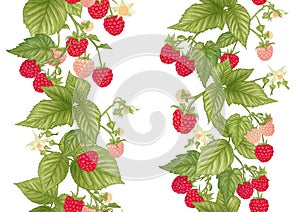 Raspberry. Ripe berries on branch. Seamless pattern, background.