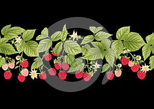 Raspberry. Ripe berries on branch. Seamless pattern, background.