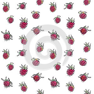 Raspberry seamless pattern