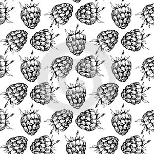 Raspberry seamless pattern for your design. Vector illustration