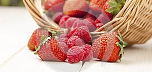 Raspberry and strawberries in a basket on the table in garden