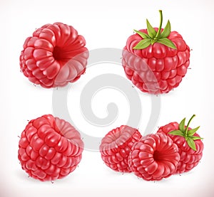 Raspberry. Sweet fruit. 3d vector icons set