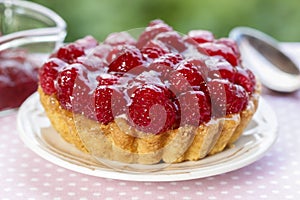 Raspberry tart. Selective focus