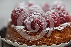 Raspberry Tarte