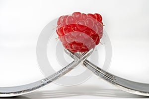 Raspberry on two forks isolated on a white background. copy space for text