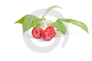 Raspberry under green leaf on white background