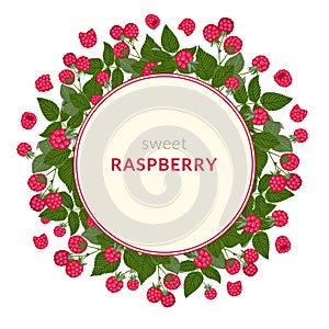 Raspberry vector frame. Round border template with sweet red northern forest berries and leaves isolated on white