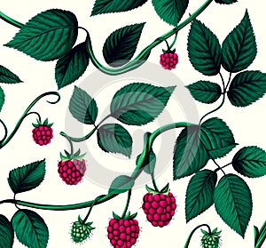 Raspberry Vine Pattern