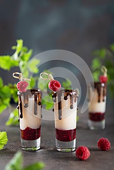 Raspberry Vodka Shots drinks with vanilla liqour. Cocktail with Fresh Raspberry on dark concrete background with fresh green