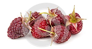 raspberry on white background