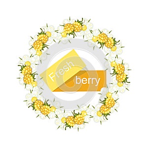 Raspberry yellow. Fresh, juicy berries in a circle with flowers. Round frame, berry wreath. Eco