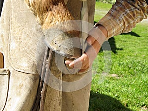 Rasping a Horseshoe and Hoof