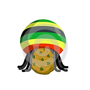 Rasta cookies. Rastafarian hat and dreadlocks and biscuit. Reggie food. drug sweets. Jamaican Sweets. Rastafarians treat