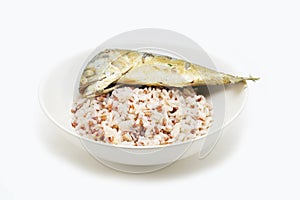 Rastrelliger and rice