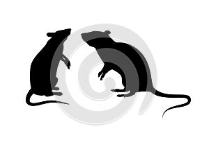 Two rats silhouette vector photo