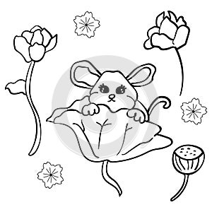 The rat in the Chinese style.  Cartoon style Coloring page or book for children adults. - Vector.