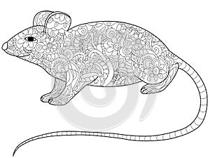 Rat Coloring book raster for adults