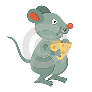 Rat eating cheese