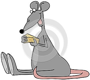 Rat eating a wedge of cheese