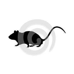 The rat icon. Black silhouette of a rat. A pet. A pest.