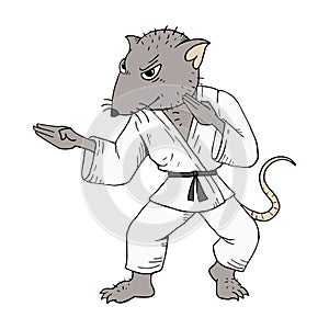 Rat karate fighter