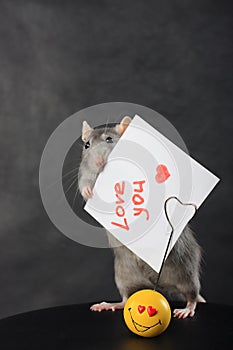 Rat with a love message
